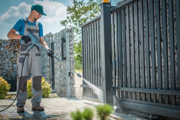 Best Graffiti Removal  in Newton, AL
