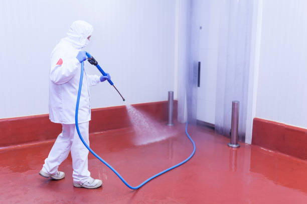 Best Sidewalk and Walkway Cleaning  in Newton, AL