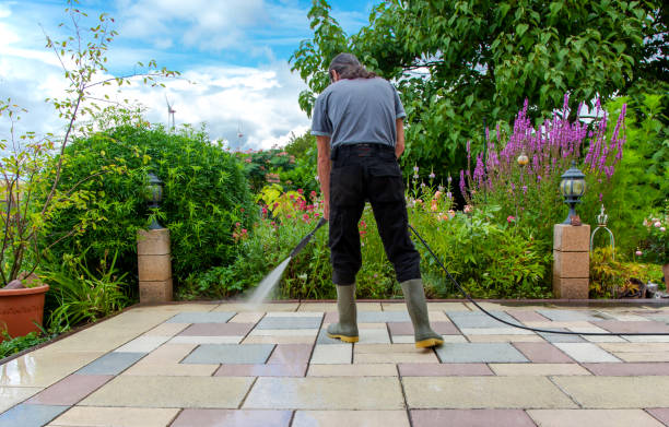 Best Restaurant Pressure Washing  in Newton, AL