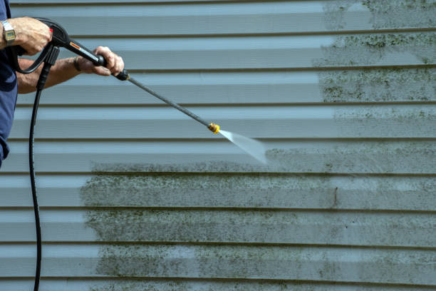 Best House Exterior Washing  in Newton, AL