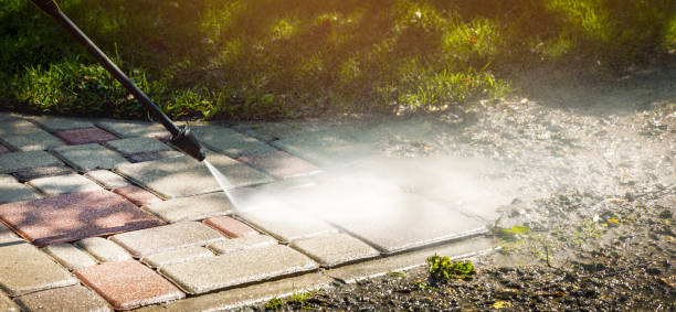Best Animal Enclosure Cleaning  in Newton, AL