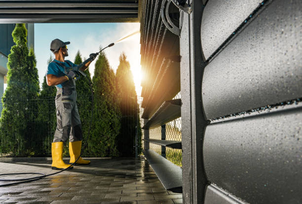 Best Fence Cleaning  in Newton, AL
